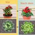 thumbnail image 4 of Lámpara de crecimiento de 4 cabezales con temporizador para plantas de interior, luz LED para plantas de 80 W, 4 of 4