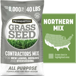 Grass seed walmart sales