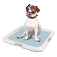 thumbnail image 1 of IRIS USA Square Potty Training Pad Holder, Blue, 1 of 7