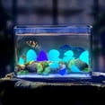 thumbnail image 3 of SELIVO Glow Pebbles,300 pcs Blue Glowing Rocks for Outdoor Decor,Garden Lawn Yard,Aquarium,Walkway,Fish Tank,Pathway,Luminous Pebbles Powered by Light or Solar, 3 of 7