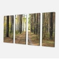 thumbnail image 2 of Chemin en Forêt de Pins d'Automne - Art Moderne sur Toile, 2 of 3