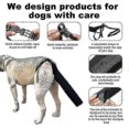 thumbnail image 3 of 2025 Dog Tail Protector, Dog Tail Guard Dog Tail Cover for Wounds Black Dog Harness, 3 of 5