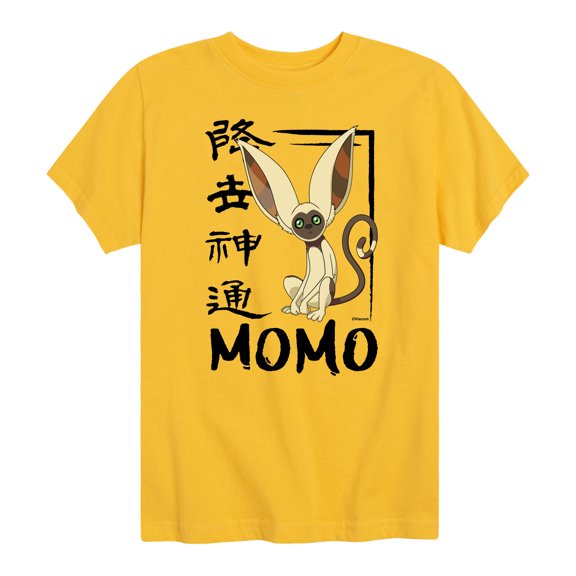 Avatar - The Last Airbender - Momo Cute - Kids YOUTH SHORT SLEEVE TEE