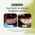 thumbnail image 6 of Petlab Co. - ProBright Dog Dental Powder – Innovative Dog Teeth Cleaning - Tailored for Extra Small Sized Dogs, 6 of 8