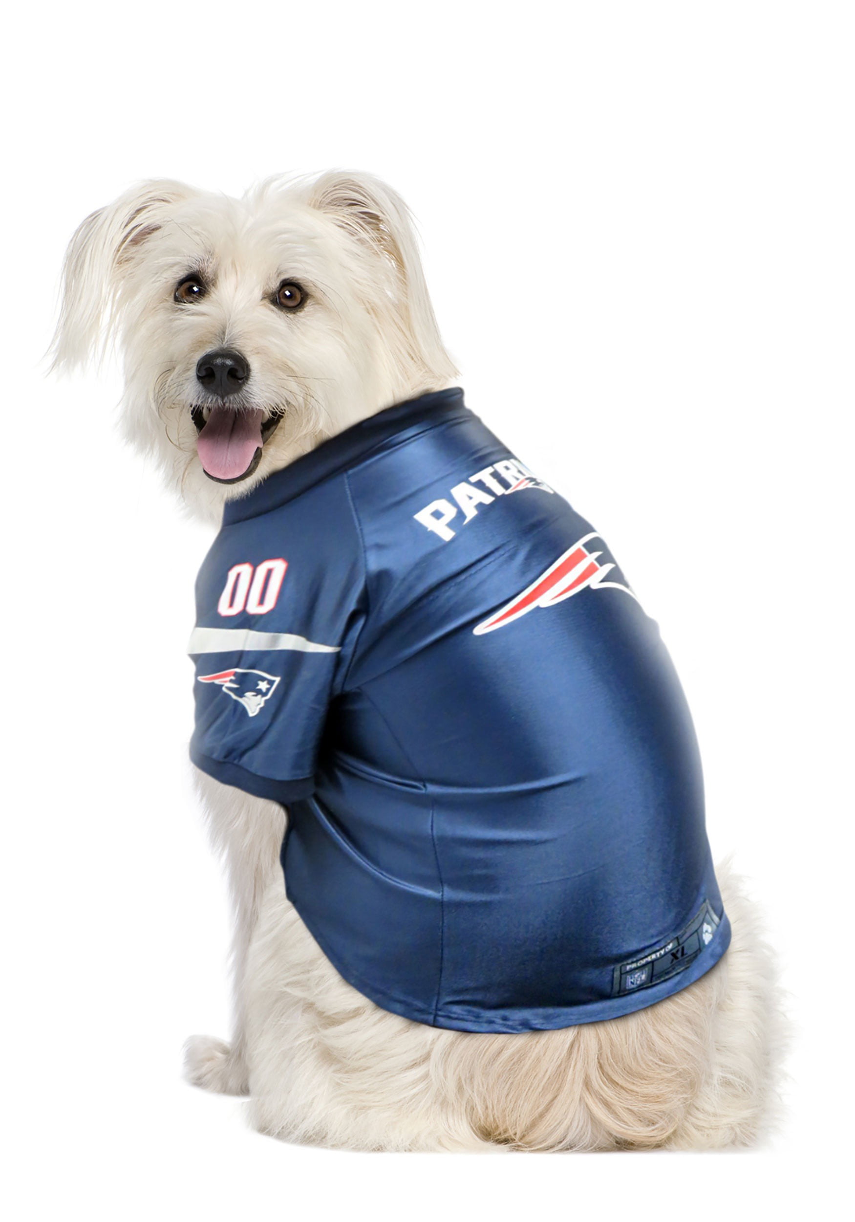 patriots jersey dog