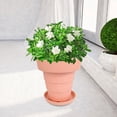 thumbnail image 2 of Tpr s ajuste de de agua s de jardín para interior Rosa Gloria macetas suculentas, 2 of 7