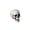 A006- F, variant on Halloween Skeleton Decor Spooky Halloween Decorations Gothic Halloween Decor for Indoor Halloween Table Decor Haunted House Decor Halloween Party 1 Piece