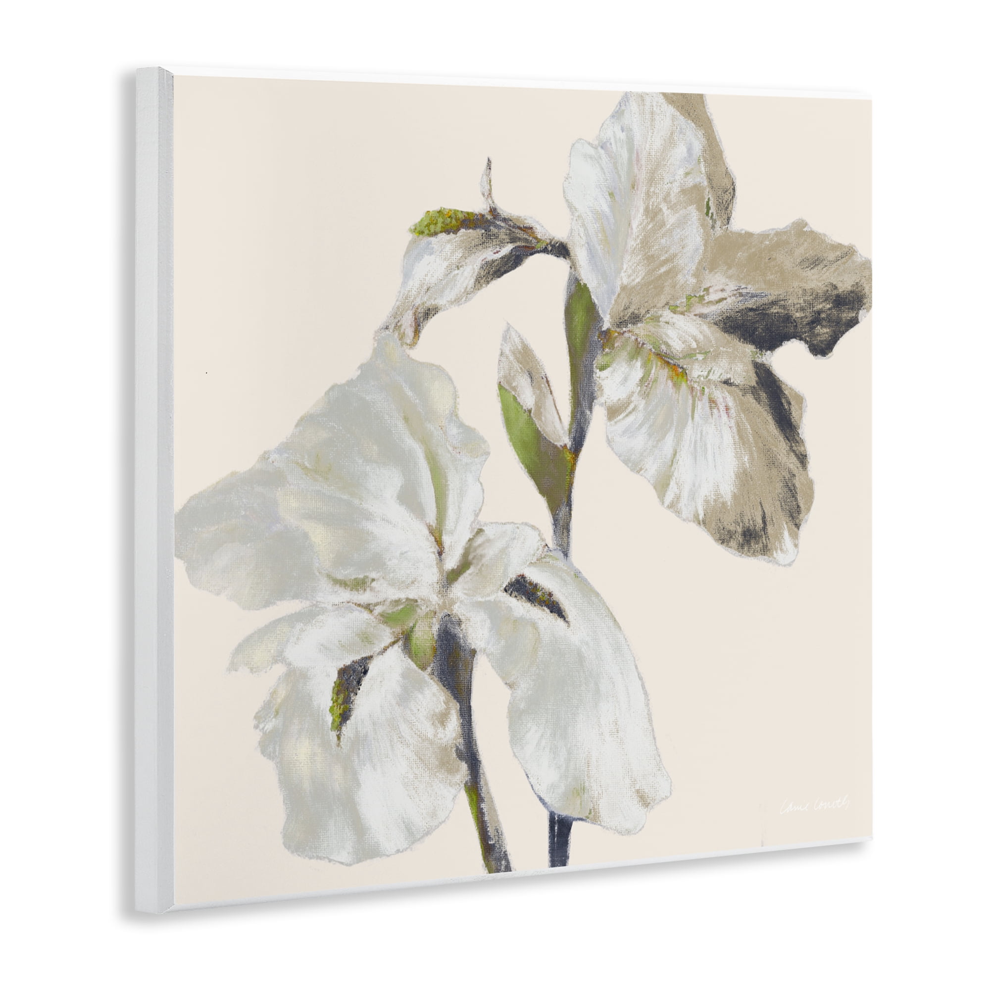 Stupell Industries Irises Soft Beige Wall Plaque Art, design by Lanie Loreth