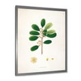 thumbnail image 2 of Designart 'Ancient London Plants IX' Farmhouse Framed Art Print, 2 of 4