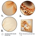 thumbnail image 3 of Designart Orange Gerbera Flower IV Canvas Wall Art, 3 of 5