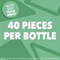 thumbnail image 3 of ORBIT WHITE Sweet Mint Sugar Free Chewing Gum, 40 Piece Resealable Bottle (Pack of 24), 3 of 8