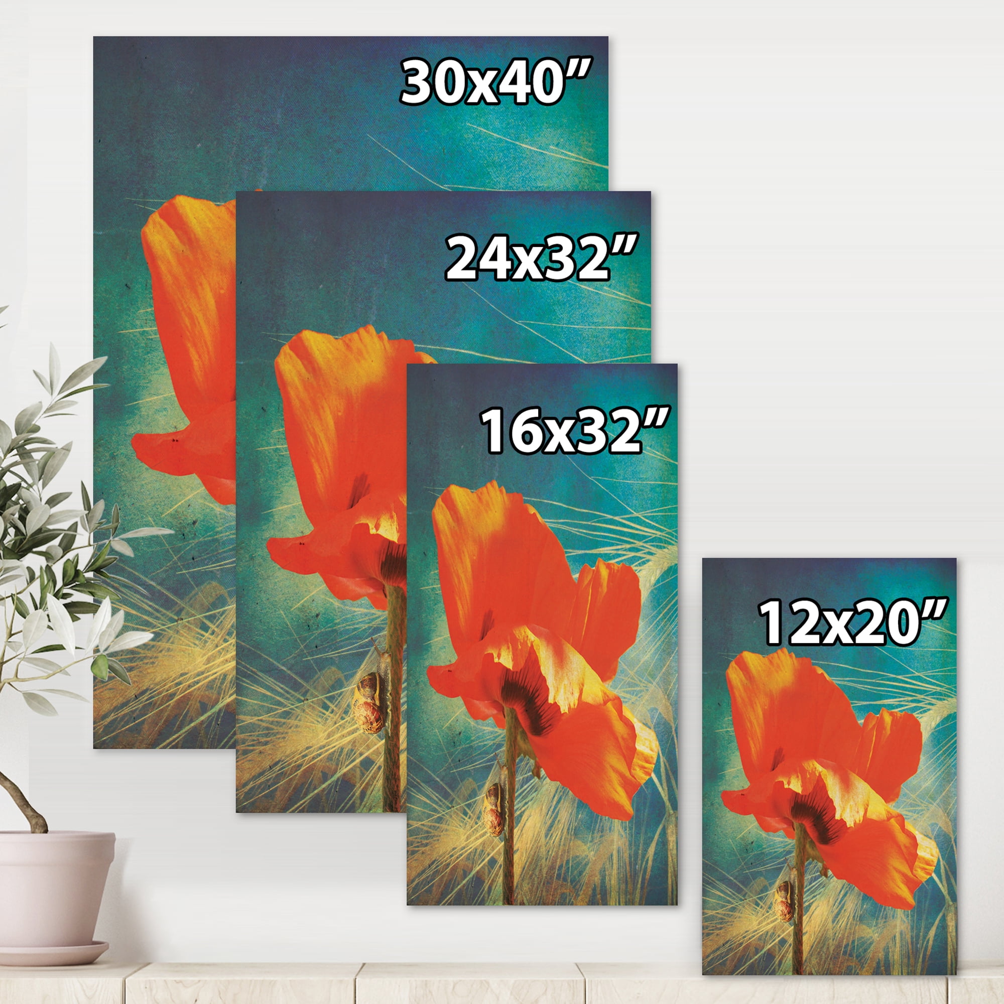Designart ' Ancient Grunge Poppy ' Traditional Canvas Wall Art Print