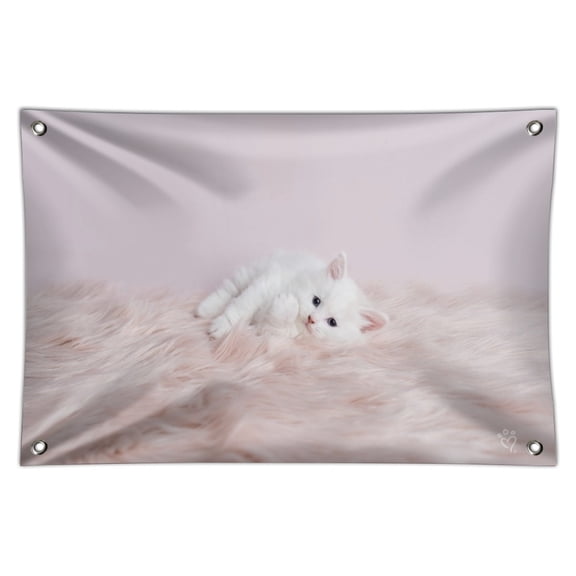 Persian Cat White Kitten Fluffy Furry Blanket Home Business Office Sign