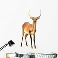 thumbnail image 1 of Red Lechwe White Wall Decal by Wallmonkeys Peel and Stick Graphic (48 in H x 25 in W) WM118323, 1 of 4