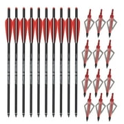 20" Carbon Arrows Crossbow Bolts  12 Broadheads 100 grain Archery Outdoor Target Bow Hunting