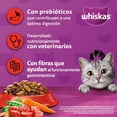 thumbnail image 3 of Whiskas Original Carne 20 kg + Caja Sheba Sobre Salmón Marinado 85 G (24 Pzas), 3 of 4