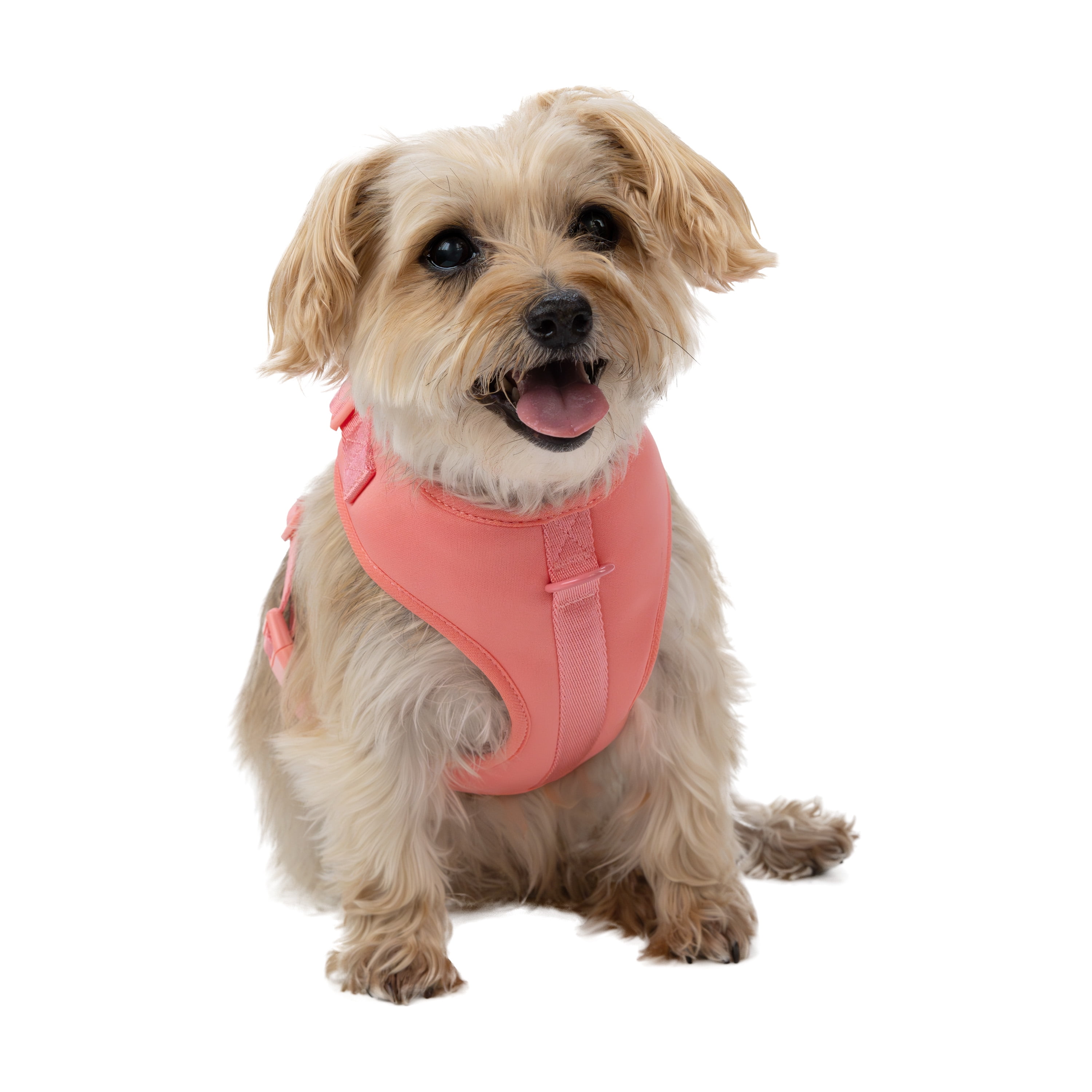 Vibrant Life Polyester & Spandex Adjustable Dog Harness, Pink, Small