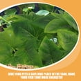 thumbnail image 4 of unbranded 2Ud Planta Colgante Artificial Para Decorar Acuarios Y Terrarios De Reptiles, 4 of 8