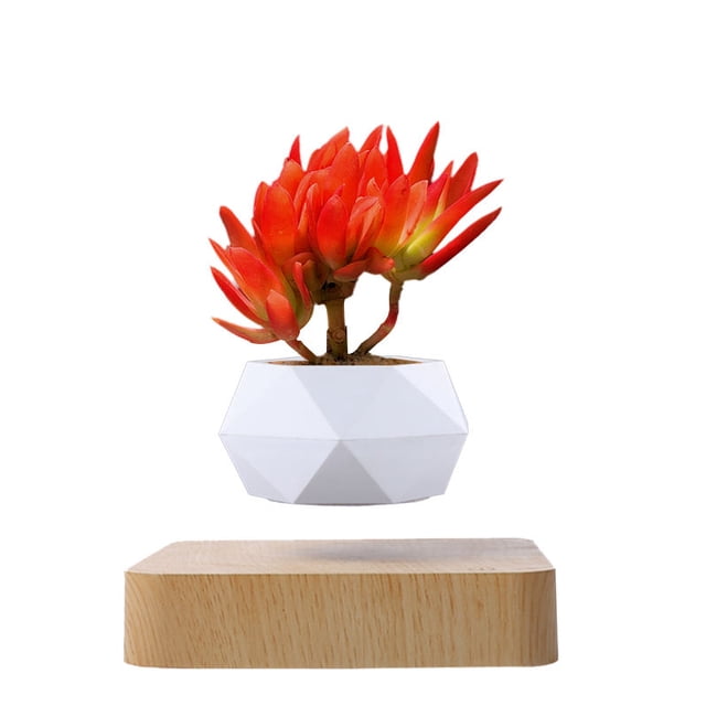 macetas de flores de rotación, maceta flotante de suspensión de levitación magnética, decoración de escritorio de plantas en macetas en macetas y macetas de hogar y jardín en (color claro) XianweiShao 8390615101318