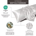 thumbnail image 4 of Furbo 100% Mulberry Silk Pillowcase for Hair & Skin, Smooth Luxury Pillow Cover, (Standard Size 20″×26″) Silver Mist, 4 of 9