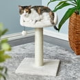 thumbnail image 2 of Two by Two Milkwood Small Cat Tree and Scratching Post, 2 of 11