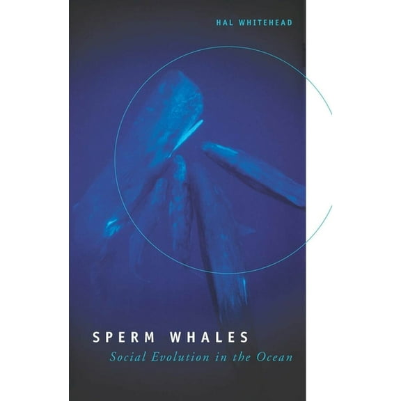 Sperm Whales: Social Evolution in the Ocean, (Paperback)