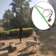 thumbnail image 4 of Dog Teaser Masticar Juguetes para jugar Ejercicio de entrenamiento Fácil de llevar para perros , medianos y grandes Suministros para masc Salvador Avance de cachorros, 4 of 10