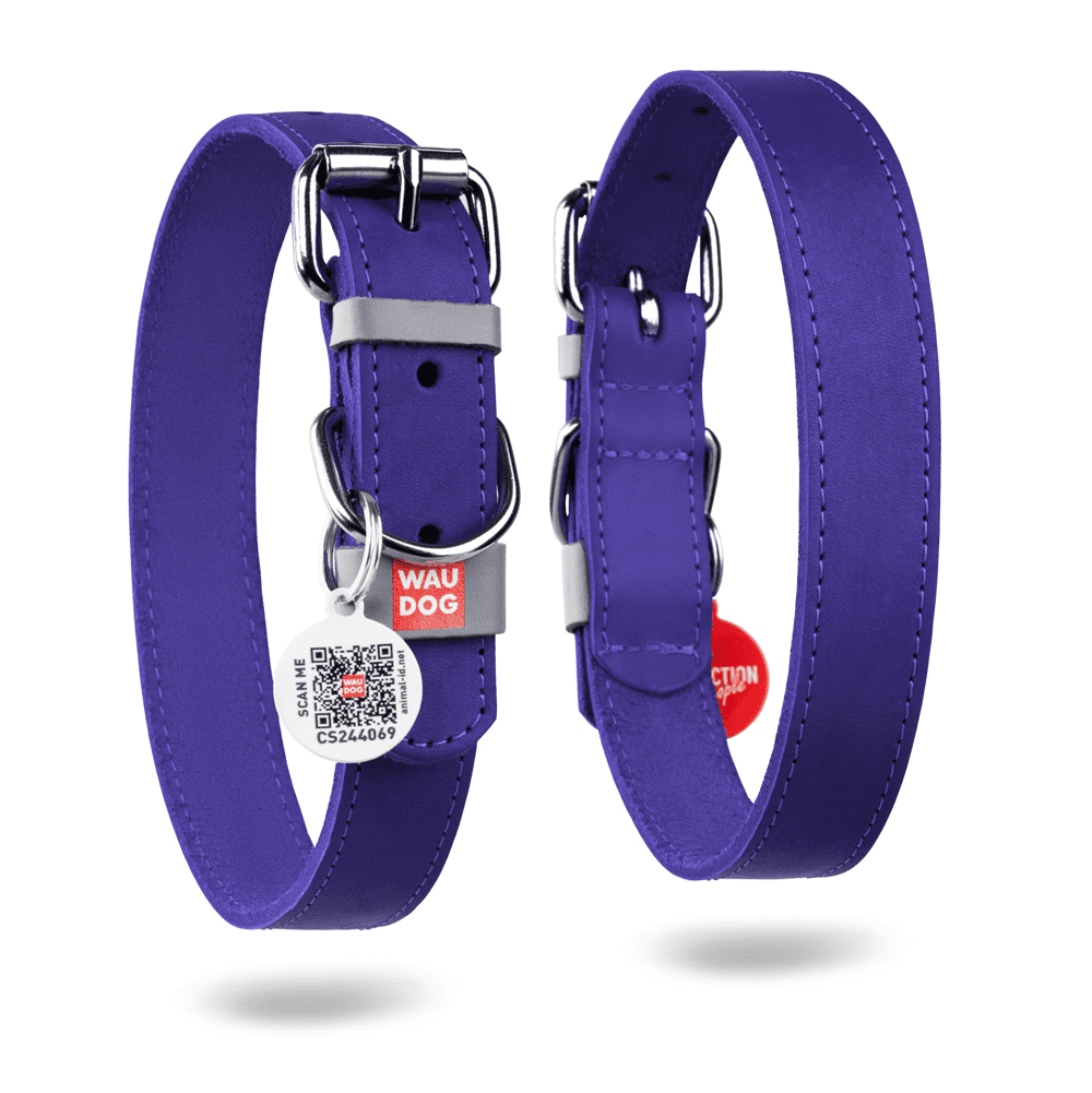 WAUDOG Classic Leather Dog Collar for Small, Medium and Large Dogs