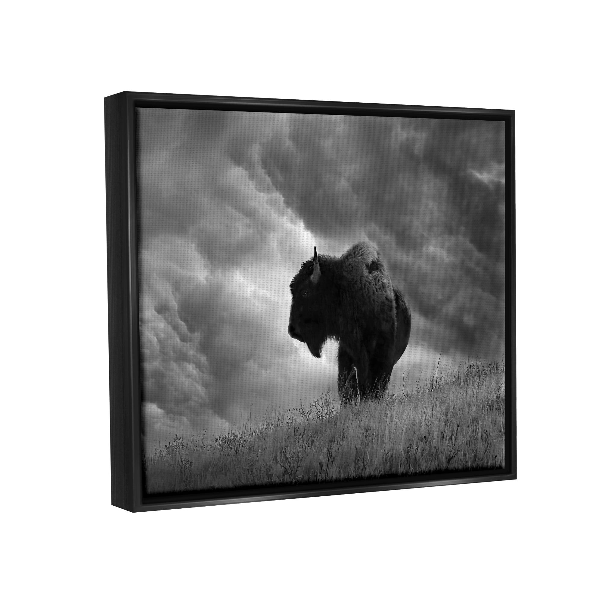 Stupell Industries Ox in Cloudy Landscape Animals & Insects Photography Black Floater Framed Canvas Art Print Wall Art, 31 x 25