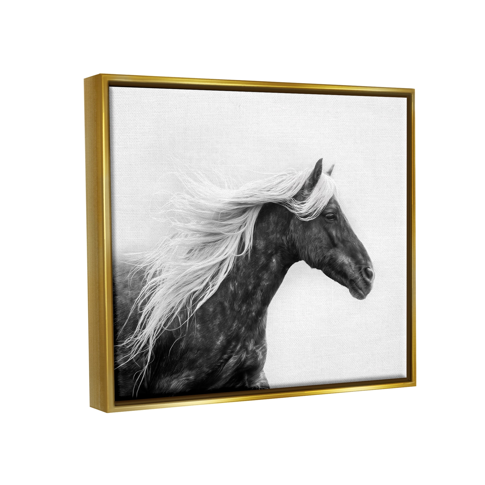 Stupell Industries Horse with White Mane Animals & Insects Photography Gold Floater Framed Canvas Art Print Wall Art, 31 x 25