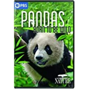 NATURE: Pandas - Born to Be Wild (DVD), PBS (Direct), Documentary