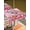 Pink Crimson LightPink, variant on Outdoor Tablecloth with Umbrella Hole and Zipper, Valentine's Day Square Table Cloth 54x54 Inch Waterproof Tablecloth, Pink Love Gnomes Roses Ombre Romantic Picnic Table Cover for Patio Camping