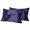 Blue, variant on Red Outdoor Waterproof Throw Pillow Covers 16x16 Set of 2, Summer Wildlife Botanical Flowers Decorative Pillowcases Cushion Pillowcase for Couch Sofa Patio Outside Pillow Protector