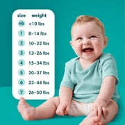 Pampers Baby Dry Baby Diapers Size 2, 112 Count (Select for More Options)