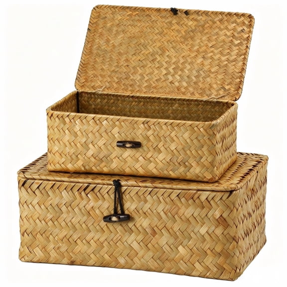 Finew 2-Pack Seagrass Storage Baskets with Lids, Woven Shelf Bins for Organizing, Boho Decor, Natural