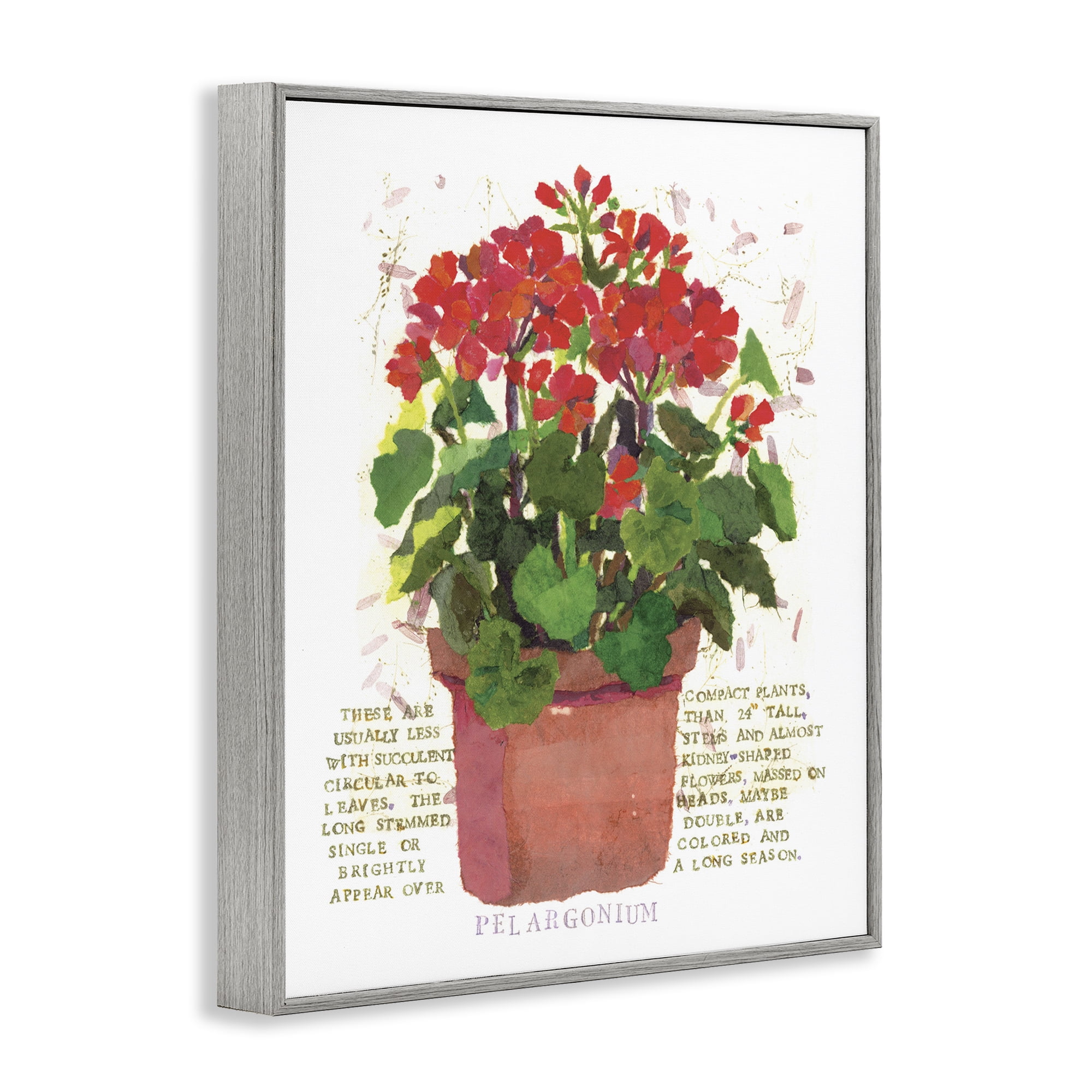 Stupell Industries Red Potted Geranium Botanical & Floral Painting Gray Framed Art Print Wall Art, 11 x 14