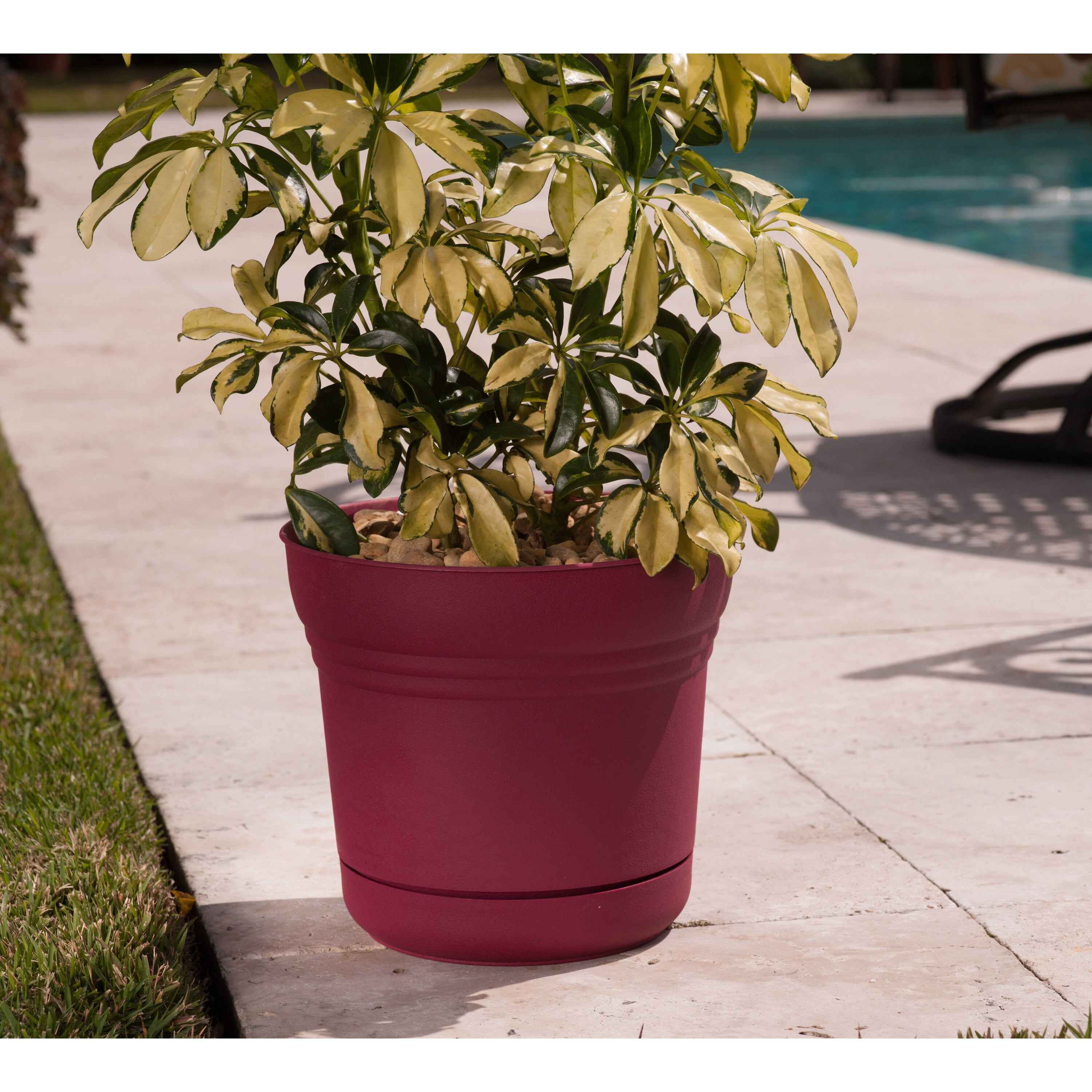 Bloem Saturn Planter w/ Saucer 14" Amaranth