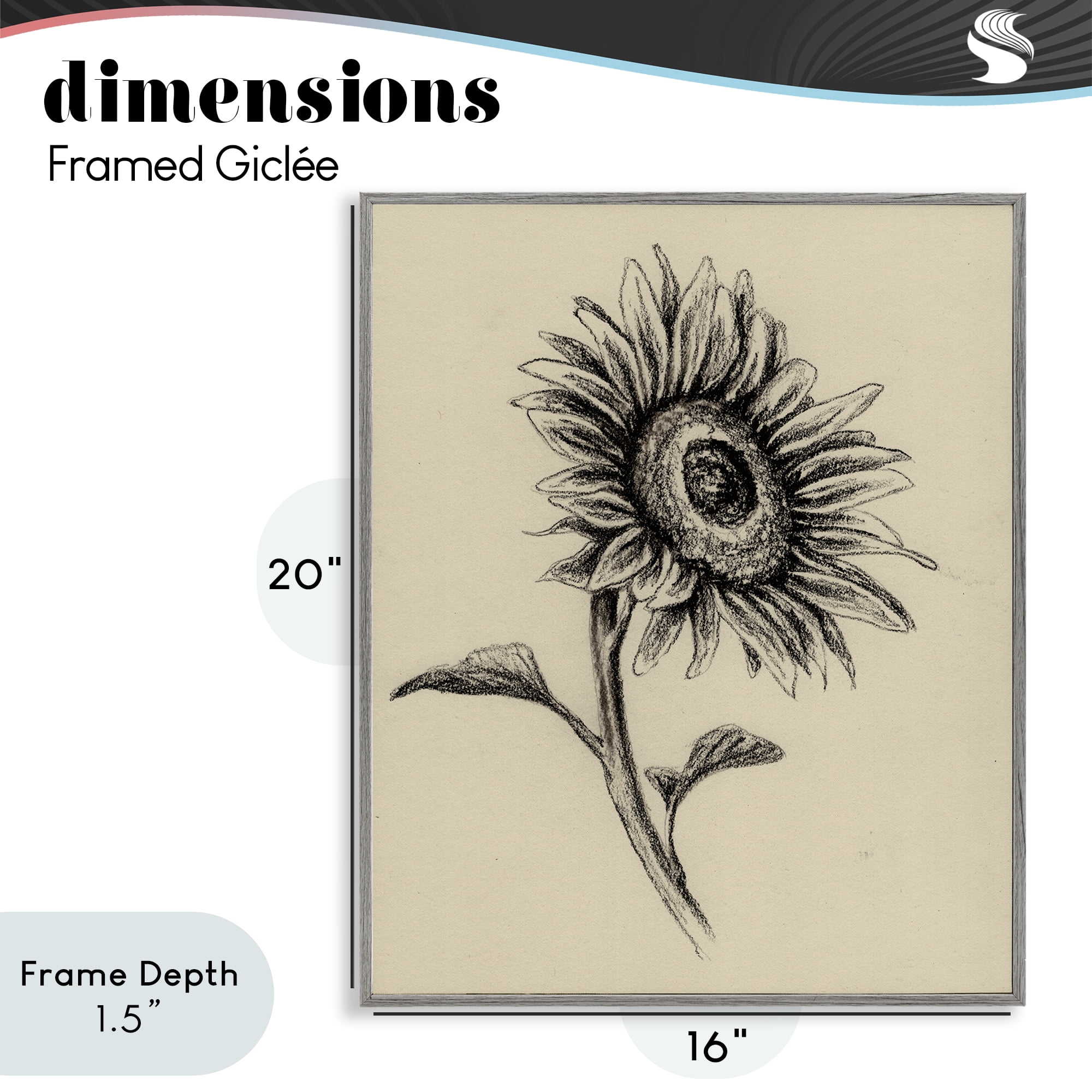 Stupell Industries Sunflowers in Charcoal Gray Framed Giclee Art, design by Leah Noel Art