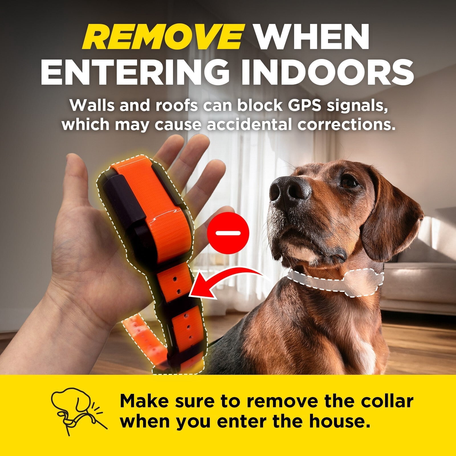 Dogtra Pathfinder 2 GPS Dog Tracker E Collar - 9 Mile Range, Waterproof, Free App, No Monthly Fees