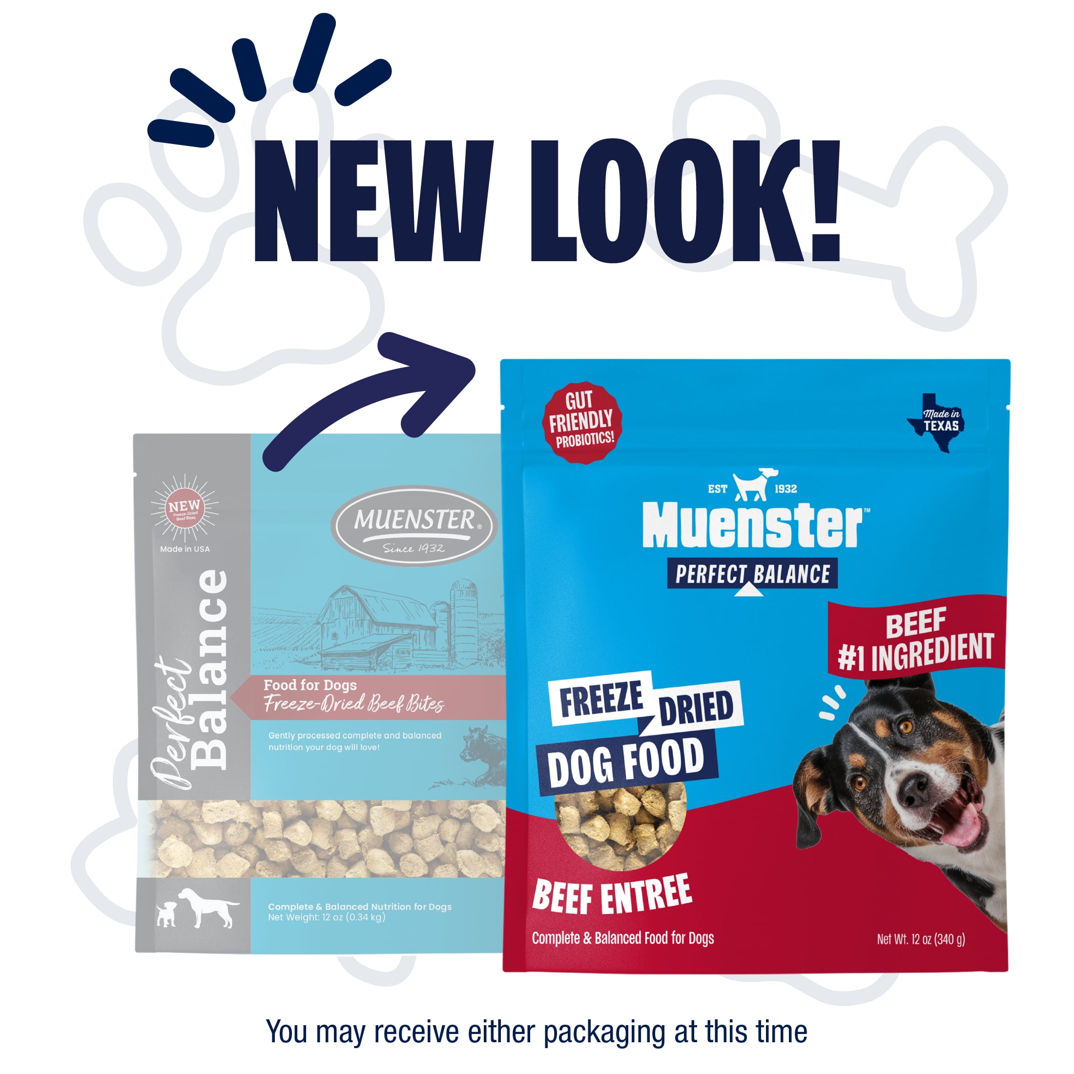 Muenster Perfect Balance Beef Bites Freeze-Dried Dog Food, Training Treats, Food or Topper, All Life Stages, 12 oz Pouch