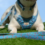 Oodles Blue Tart Cherries Quilted Adjustable Dog Harness, Small