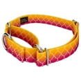 thumbnail image 3 of Country Brook Petz® Fabulous Ombre Martingale Dog Collar Limited Edition, Medium, 3 of 5