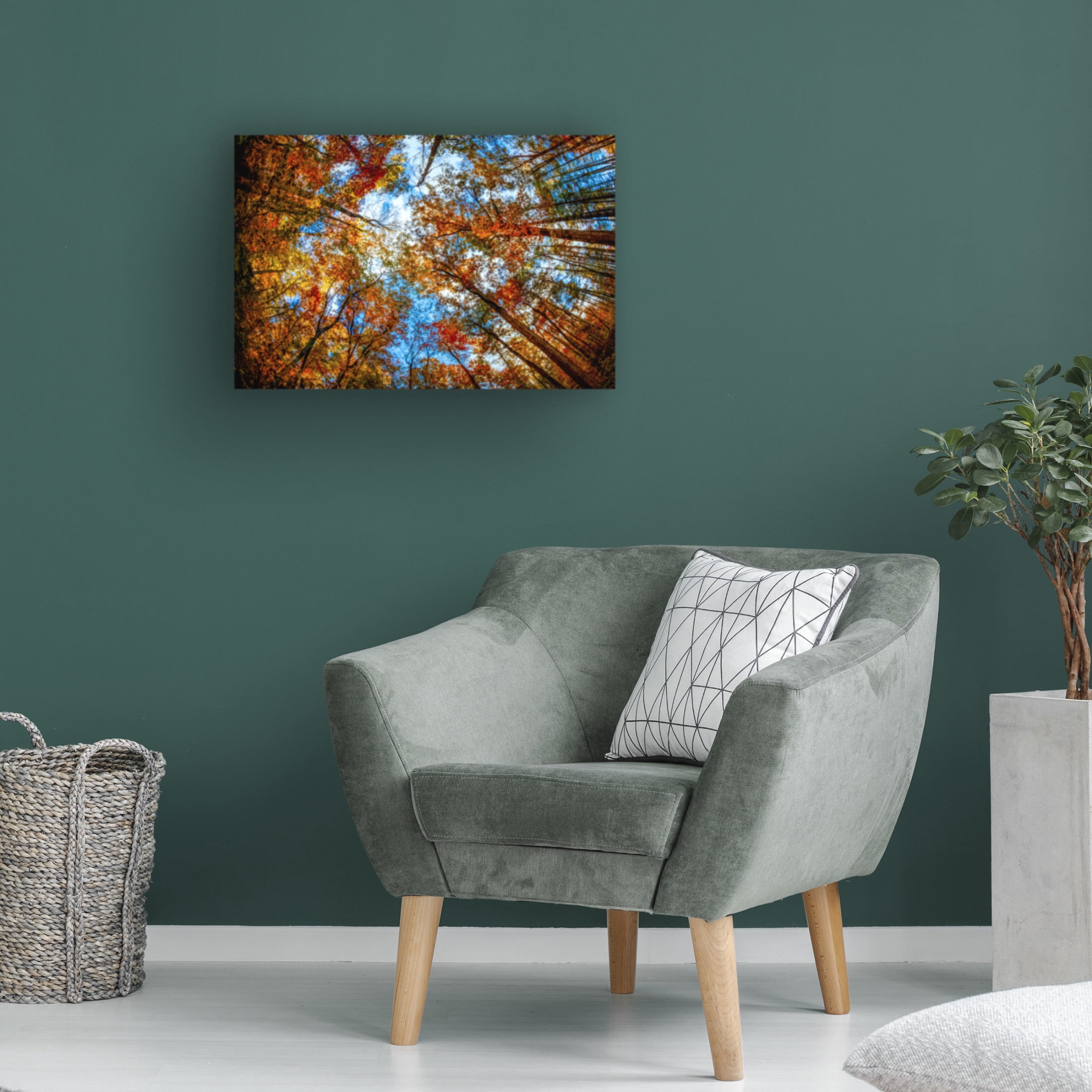 Canvas Wall Art - Celebrate Life Gallery 'Canopy in Autumn' Wall Art for Living Room, Bedroom, or Office Décor by Trademark Fine Art - 47 x 30 Inches