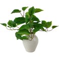thumbnail image 3 of Mainstays Indoor Artificial Potted Golden Pothos, Green Color, Assembled Height: 13", Plastic Pot, 3 of 5