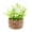 E, variant on YIFAEUX Miniature Bonsai Plant Props Potted Plant Decor Artificial Green Plants for Doll Douses Desk Shelf Mini Home Decorations Miniature Bonsai Planters