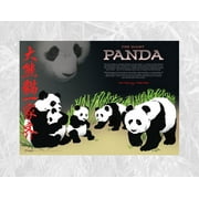 Asian, Oriental, Chinese PANDA GIFT SET: 1 - 11 x 14 Poster, 12 pack greeting cards and 2 Keyrings