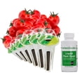 thumbnail image 4 of AeroGarden Red Heirloom Cherry Tomato Seed Pod Kit (6-Pod), 4 of 5
