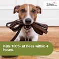 thumbnail image 4 of Trifexis Heartworm Prevention | Treats & Controls Flea Infestations + 4 Other Worms | Dogs 10.1-20 lbs., 4 of 19