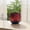 Type4, variant on Zeiwohndc Creative Succulents Planter Dragon Scale Flower Pot Plastic Green Plant Pot