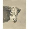 thumbnail image 2 of Jean Bernard 20x24 Black Ornate Framed Double Matted Museum Art Print Titled: Head of a Cow, with a Ring Through the Nose, from the Front (1820), 2 of 5